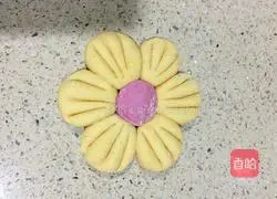 Illustration of how to make scallop steamed buns 9