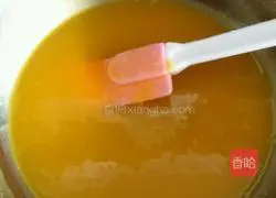 Mango Cheese Mousse Recipe Illustration 11