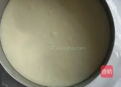 Mango Cheese Mousse Recipe Illustration 8