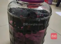 Illustration of how to make mulberry wine 6