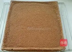 Chocolate Cream Cake Roll Recipe Illustration 15