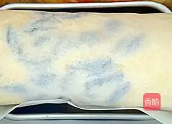 Illustration of how to make raisin cream cake roll 17