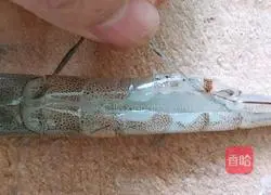 Illustration of how to make rich shrimps with blooming flowers 2