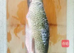 Illustration of how to cook fish in boiling water 1