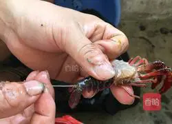 Secret spicy crayfish recipe 1
