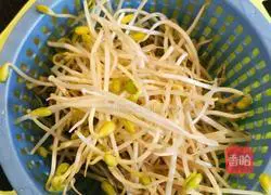 Illustration of Homemade Sea Cucumber 2