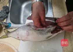 Illustration of how to cook white silver carp at home 1