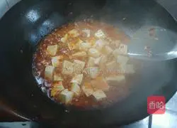 Authentic Sichuan Mapo Tofu Illustration of how to do it 5