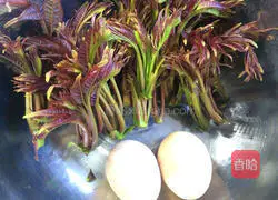 Chunya Scrambled Egg Recipe Illustration 1