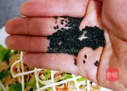 Three shred salad recipes 17