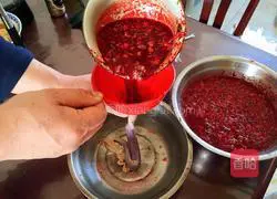 Blood Illustration of making intestines 16