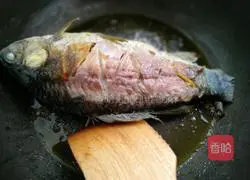 Illustration of braised crucian carp 4