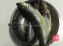 Illustration of how to make sardines in tomato sauce 1