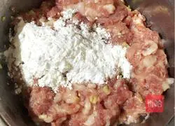 Illustration of how to make dry croquettes 2