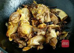 Illustration of Northeast Chicken Stewed with Mushrooms 6