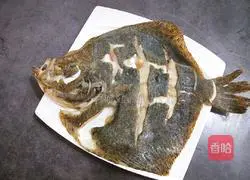 Illustration of steamed turbot fish 10