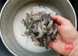 Illustration of how to stir-fry river shrimps with chives and moss 2