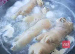 Illustration of Braised Pork Trotters 3