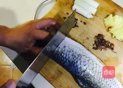 Illustration of home-style fish stew 2