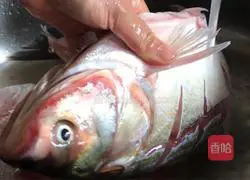 Illustration of how to cook whole fish with Zijiang 1