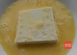 Illustration of how to make Shandong tofu in pot 3