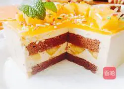 Cocoa Illustration of how to make mango mousse 16