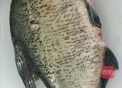 Illustration of how to open a peacock's tail 2