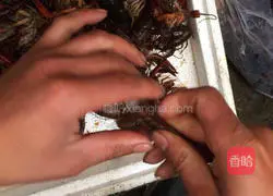 Spicy lobster recipe 3