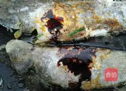 Illustration of braised tongue sole 6