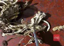 Illustration of how to make twice-cooked pork with black bean and tea tree mushrooms 2