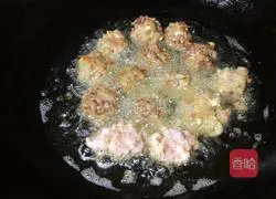 Dry croquettes Illustration of how to do it 5