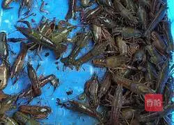 Illustration of how to make spicy crayfish 1