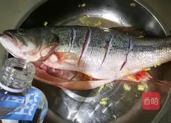 Illustration of Braised Freshwater Bass 1