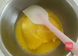 Cream Puff Recipe Illustration 10