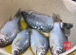 Illustration of how to stew crucian carp with pickled cabbage 4