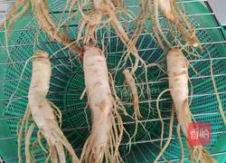 Illustration of how to make ginseng wine 2