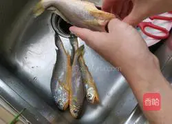 Illustration of how to cook small yellow croaker at home 1