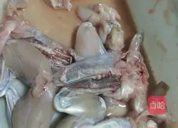 Illustration of how to make bullfrog's temptation 1