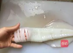 Korean Spicy Grilled Squid Recipe Illustration 9