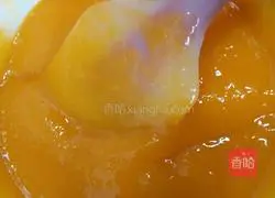 Mango Mousse Recipe Illustration 3