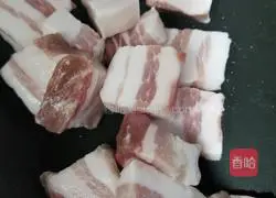 Illustration of braised pork with mushrooms 2