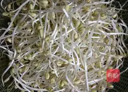 Stir-fried bean sprouts Illustration of how to do it 1