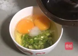 Illustration of home-style fried eggs with chopped green onion 2