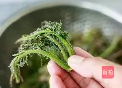 Illustration of how to make Chinese toon pickles 2