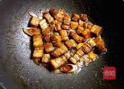 Illustration of braised pork with eggs 5