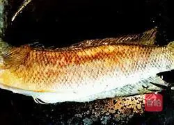 Illustration of how to make black fish, red dates and pumpkin soup 6