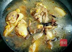 Illustration of Northeast Chicken Stewed with Mushrooms 7