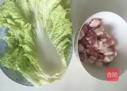 Illustration of braised pork and cabbage vermicelli 2