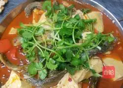 Illustration of how to make loach stewed tofu 7