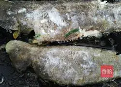 Illustration of braised tongue sole 5